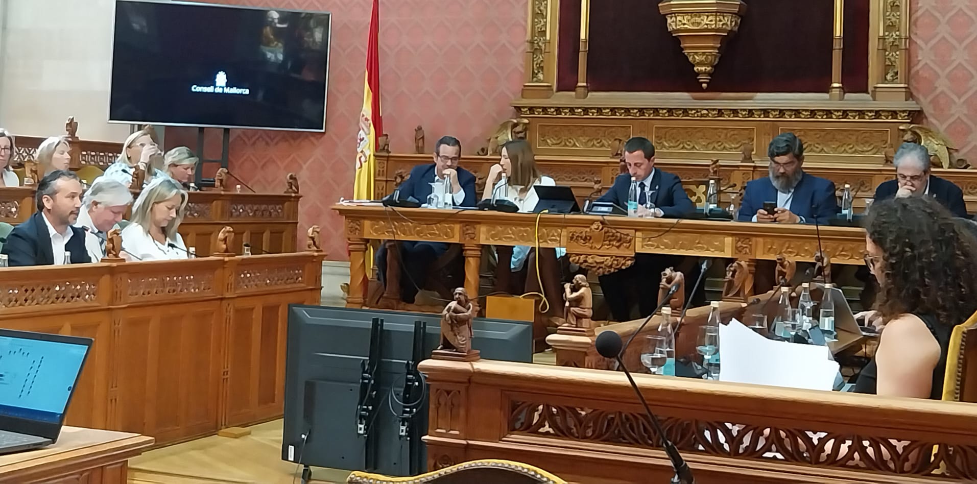 Imagen del pleno extraordinario celebrado hoy por el Consell de Mallorca.