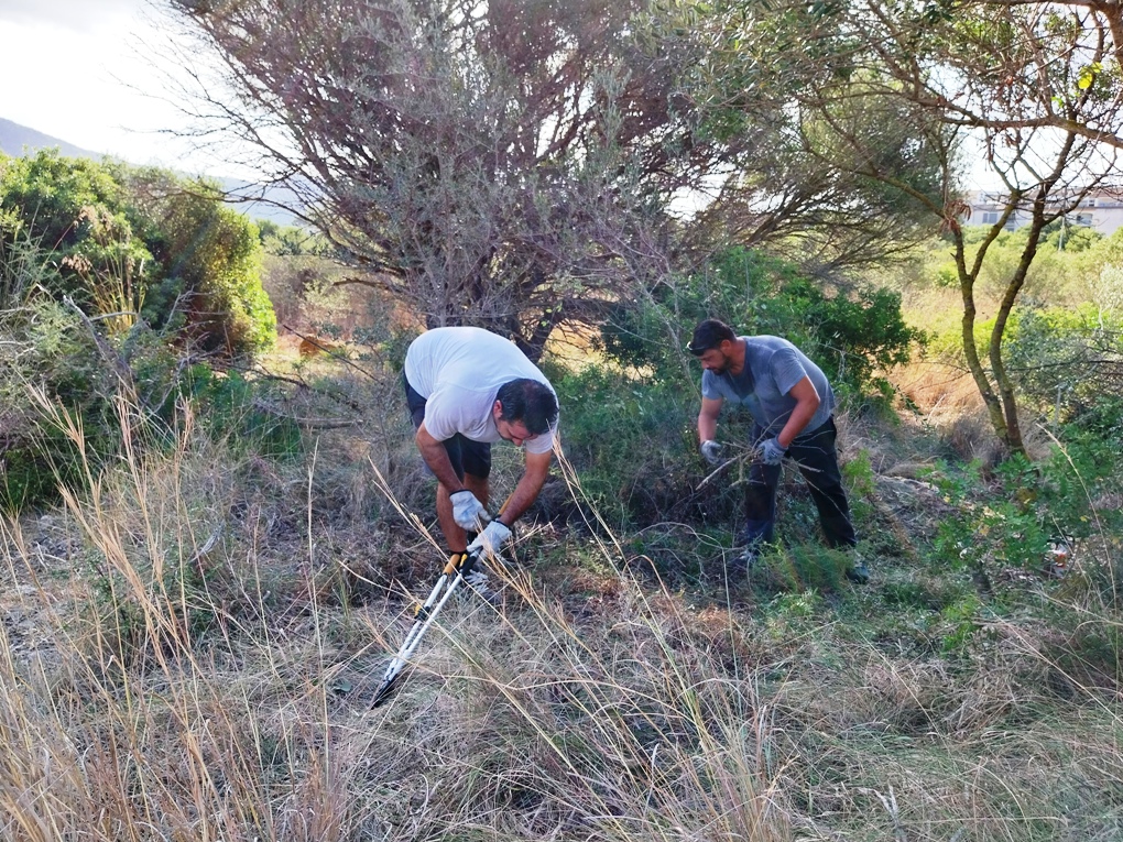 Yacimiento Bóquer